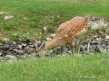 IMG_1770
