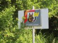 IMG_5359