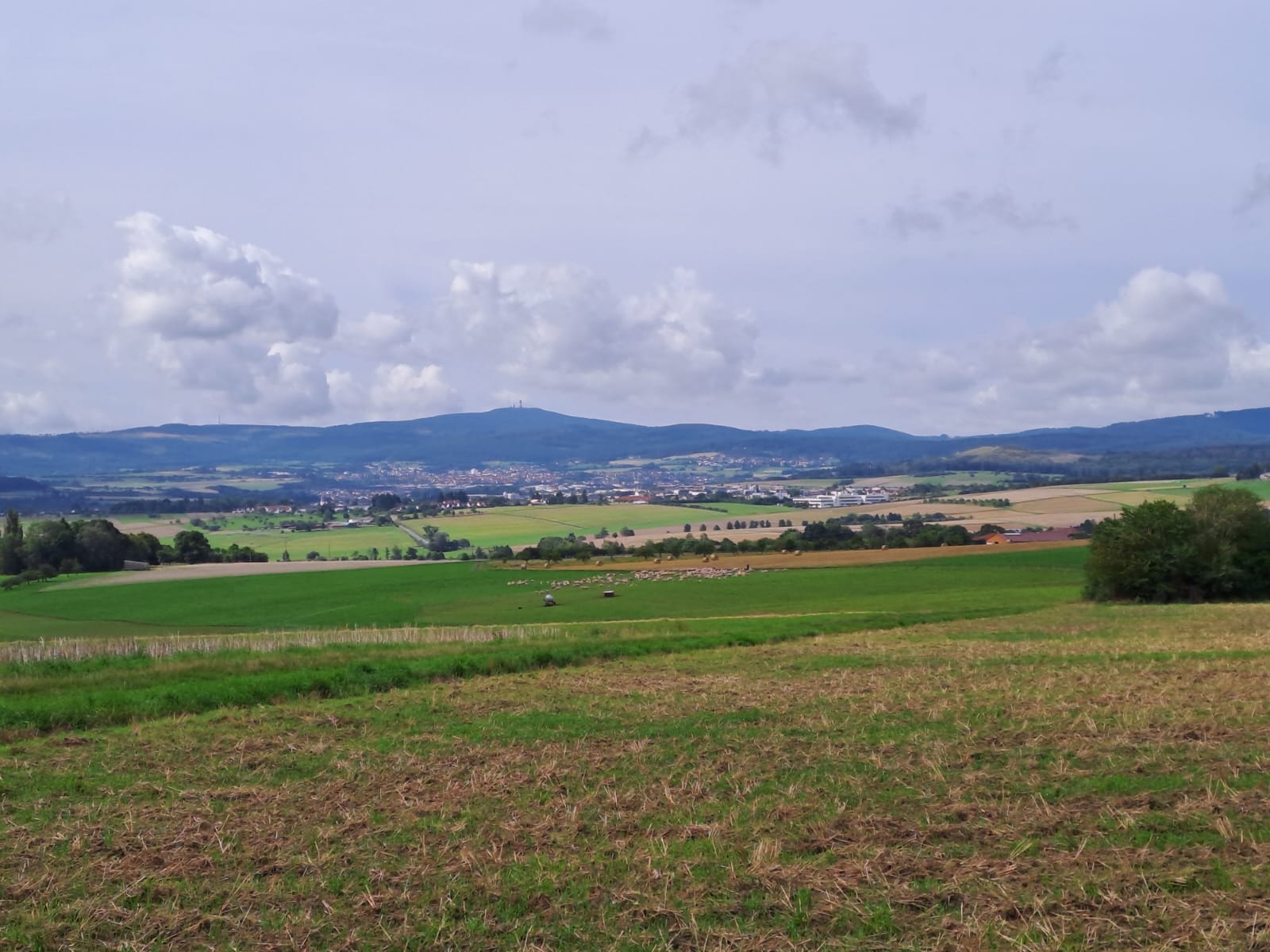 IMG-20230813-WA0001