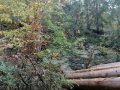 IMG_0011