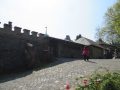 IMG_1008