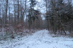 IMG_4469