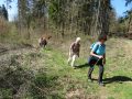 IMG_0659
