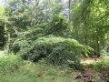 IMG_5865