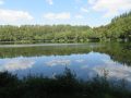 IMG_6859