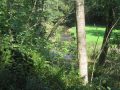 IMG_6867