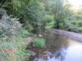 IMG_6870